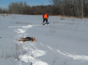 After 2 hours of deep snow, Buddy's still feeling good.