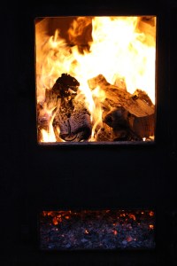 Lots of wood to cook the sap